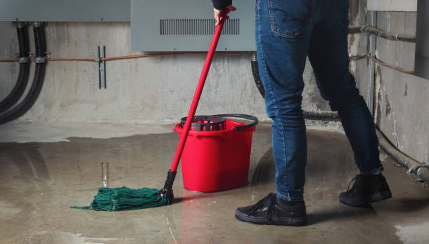 Best Sewage cleanup and water damage restoration  in Port Washington, NY
