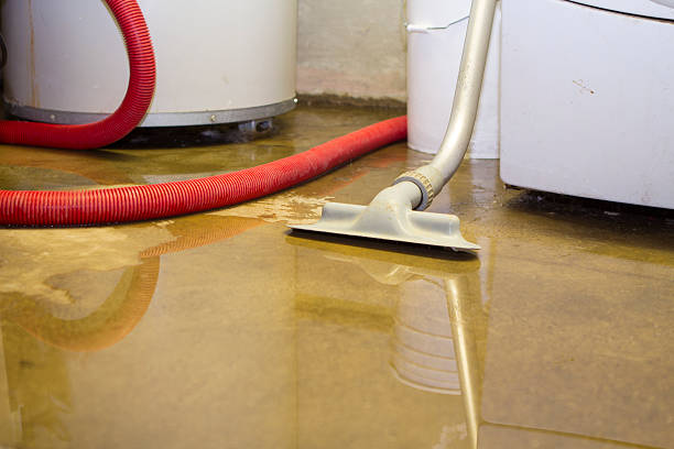 Best Ceiling water damage repair  in Port Washington, NY