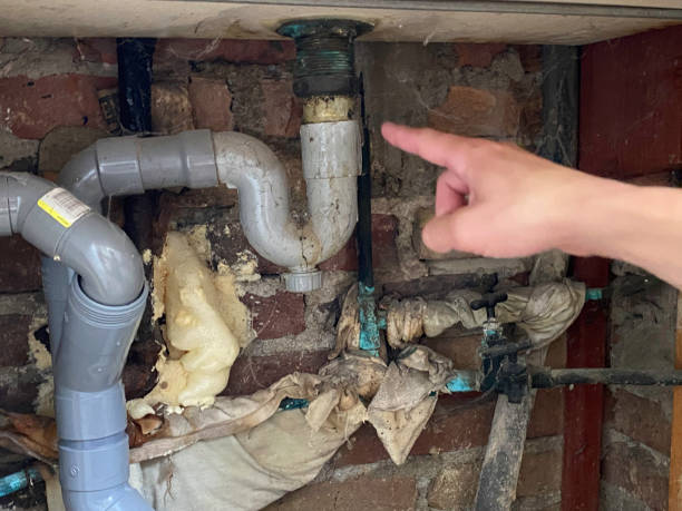 Best Carpet water damage restoration  in Port Washington, NY