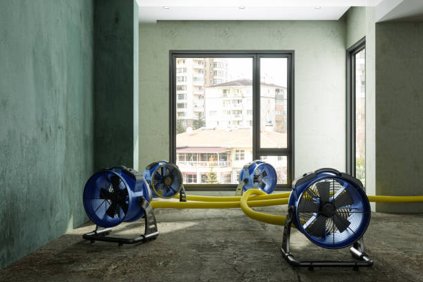 Best 24-hour water damage restoration  in Port Washington, NY